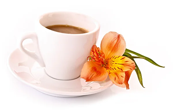 Tazza di caffè e fiori isolati su bianco — Foto Stock