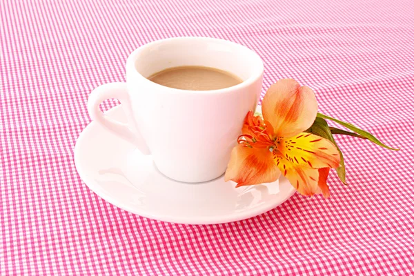 Taza de café y flor sobre fondo rojo —  Fotos de Stock