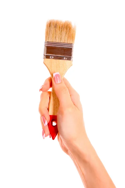 Cepillo en mano aislado en blanco —  Fotos de Stock