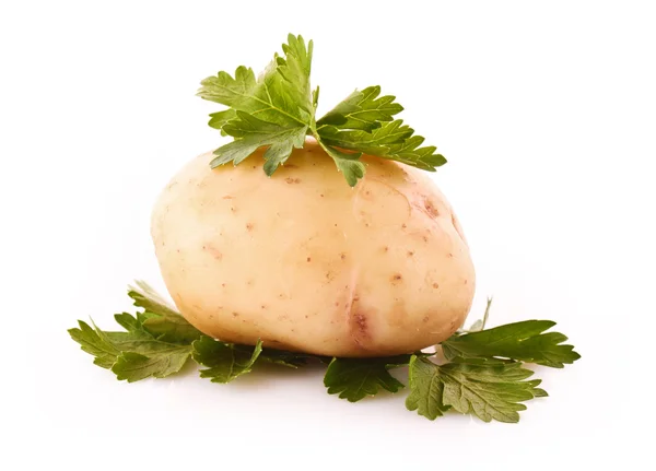 Картофель изолирован на белом — стоковое фото