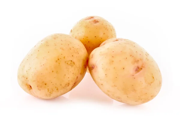 在白色上隔离的土豆 — 图库照片