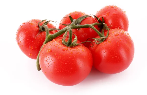 白色上孤立的几个西红柿 — 图库照片