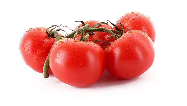 Wenige Tomaten isoliert auf weiß — Stockfoto