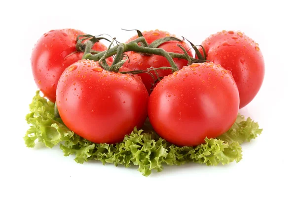 Pár rajčaty a zeleným salátem, izolované na bílém — Stock fotografie