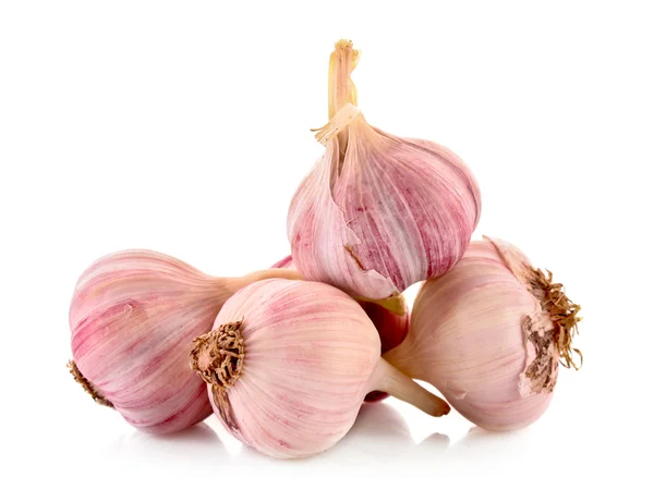 Garlic isolated on white — Stock Photo, Image