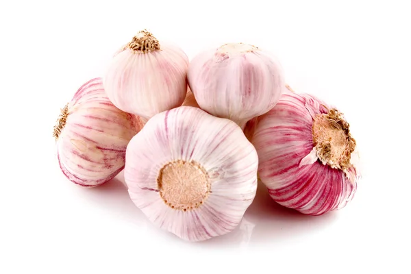 stock image Garlic isolated on white