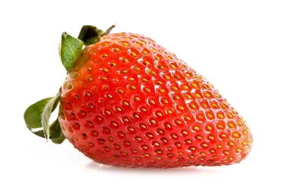 孤立在白色草莓特写 — 图库照片