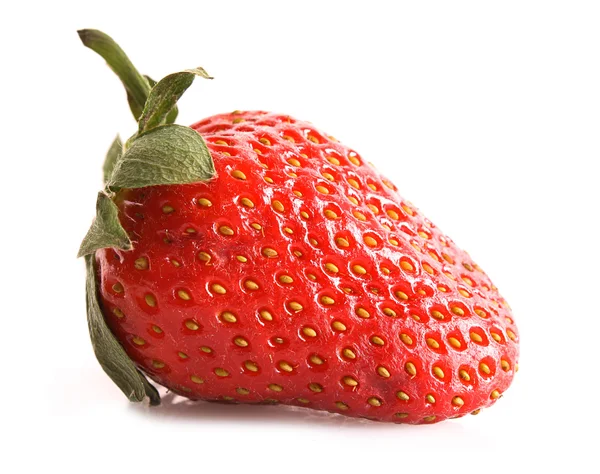 Strawberry primo piano isolato su bianco — Foto Stock