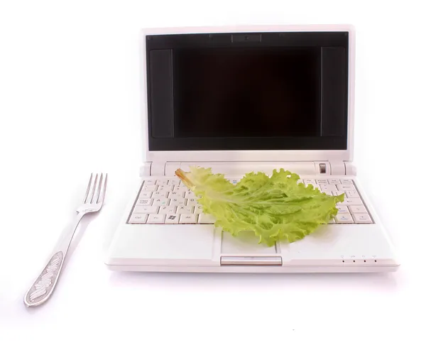 Laptop, tenedor y ensalada dejan aislados en blanco —  Fotos de Stock