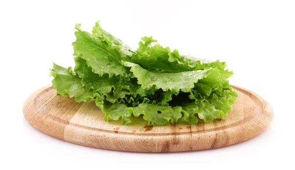 白で隔離されるグリーン サラダ — ストック写真