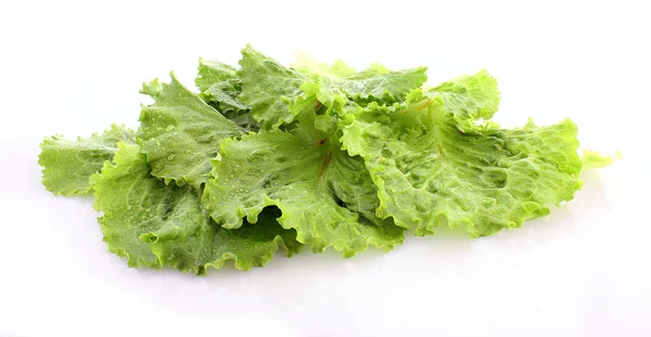 Salade bladeren geïsoleerd op wit — Stockfoto