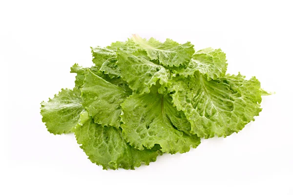 Salade bladeren geïsoleerd op wit — Stockfoto