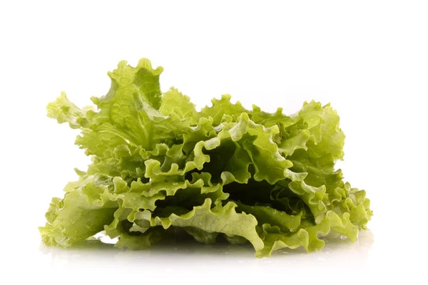 Listy salátu, izolované na bílém — Stock fotografie