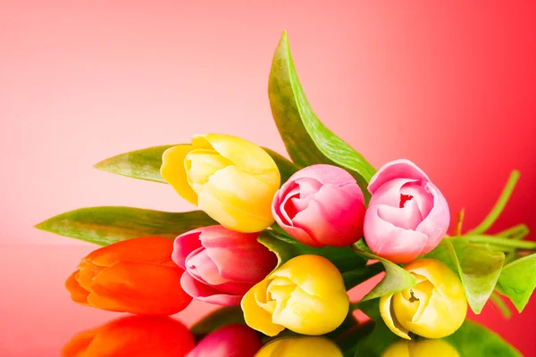 Тюльпани на червоному тлі — стокове фото