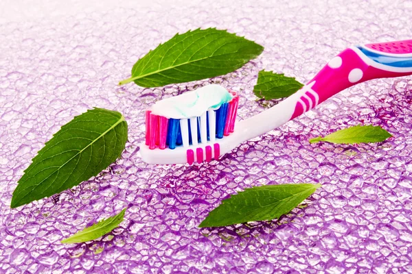 Brosse à dents et feuilles de menthe — Photo