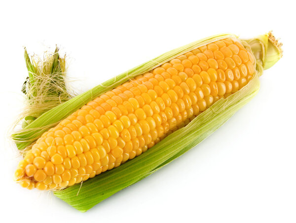Кукуруза изолирована на белом
