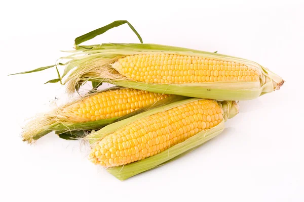 Pocos maíz aislado en blanco —  Fotos de Stock