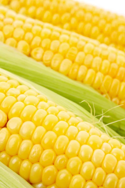 Yellow corns — Stock Photo, Image