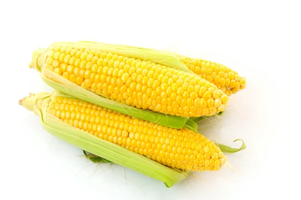 Kukorica elszigetelt fehér — Stock Fotó