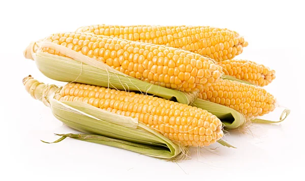 Poucos milho isolado em branco — Fotografia de Stock