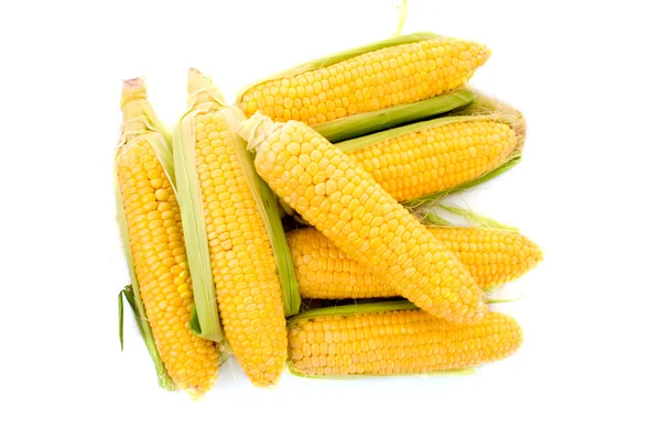 Few corn isolated on white — Stock Photo, Image