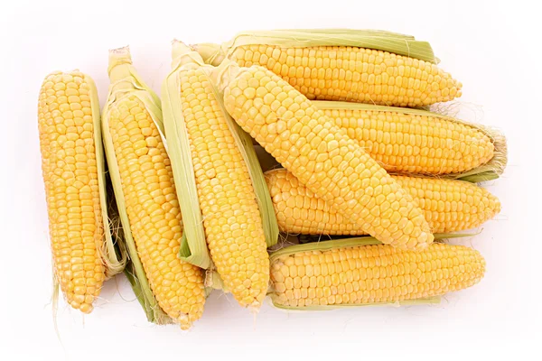 Несколько кукурузы изолированы на белом — стоковое фото