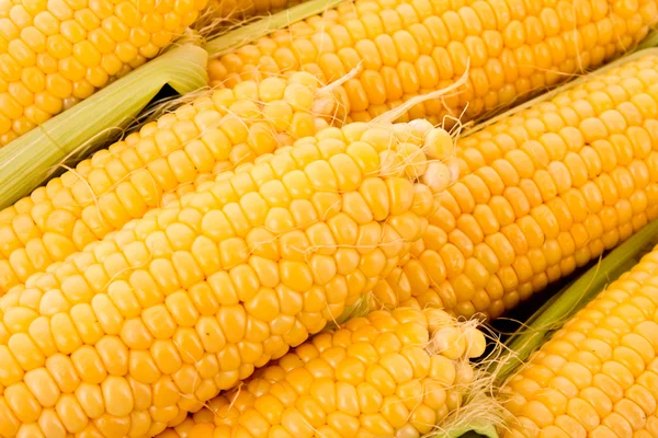 Несколько жёлтых кукуруз — стоковое фото