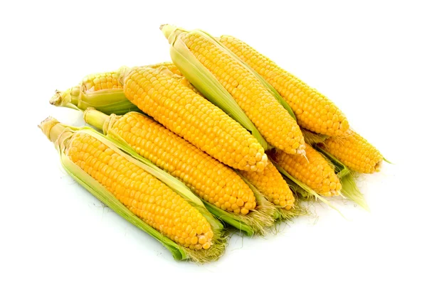 Néhány kukorica elszigetelt fehér — Stock Fotó