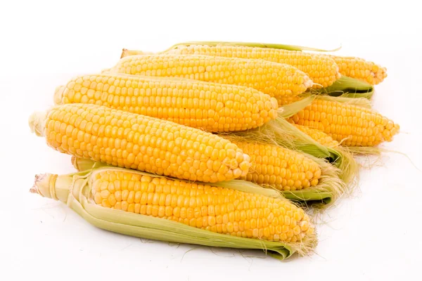 Кілька кукурудзи ізольовано на білому — стокове фото