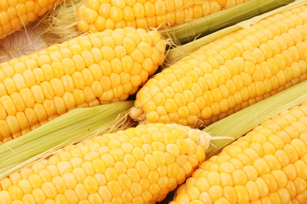 Yellow corns — Stock Photo, Image