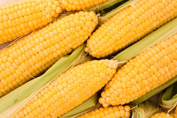 几个黄色玉米 — 图库照片