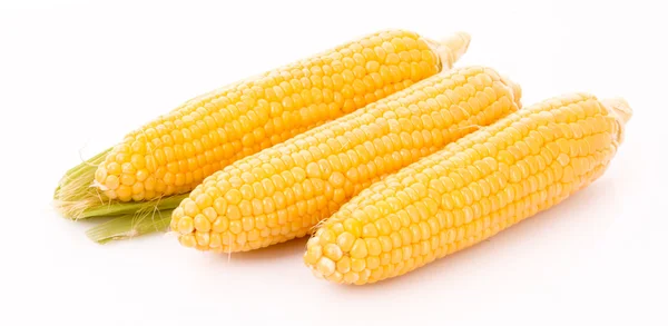 Málo kukuřice izolovaných na bílém — Stock fotografie
