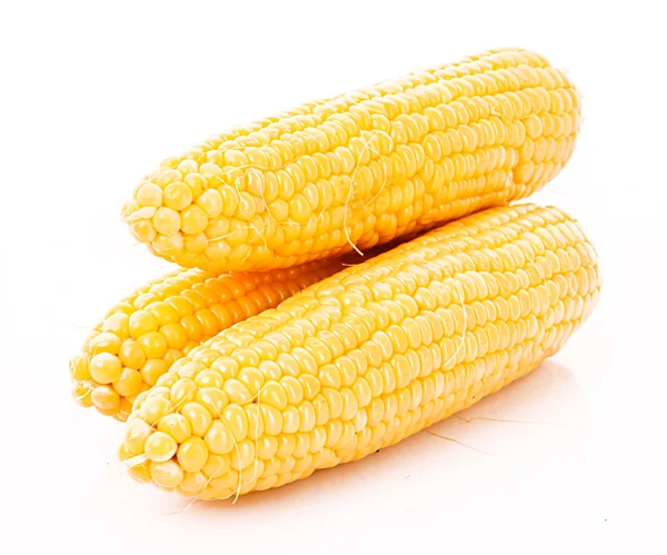 Några majs isolerad på vit — Stockfoto