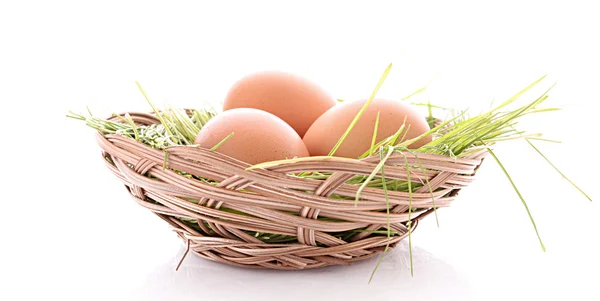 Eggs in nest isolated on white — Stock Photo, Image