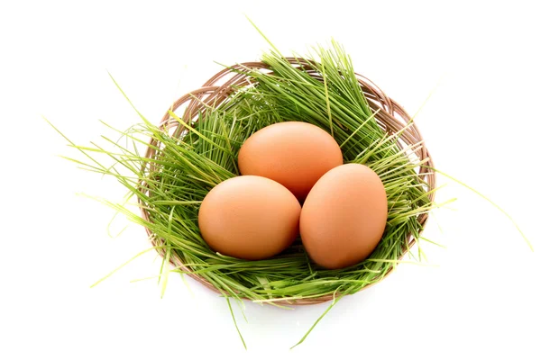 Uova in nido isolate su bianco — Foto Stock