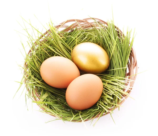 Altın yumurta yuva üzerinde beyaz izole — Stok fotoğraf