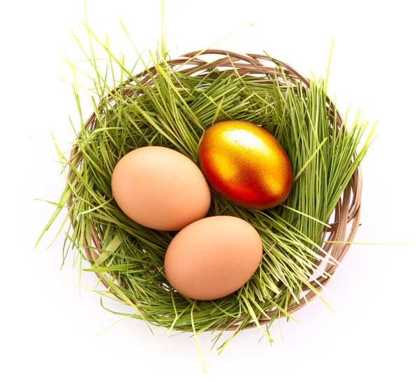 Altın yumurta yuva üzerinde beyaz izole — Stok fotoğraf
