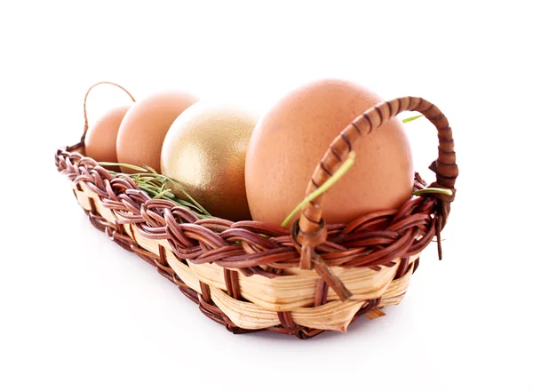 Eier im Nest isoliert auf weiß — Stockfoto