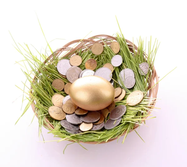 Gold egg in nest. Ukrainian coins — Stock Photo, Image