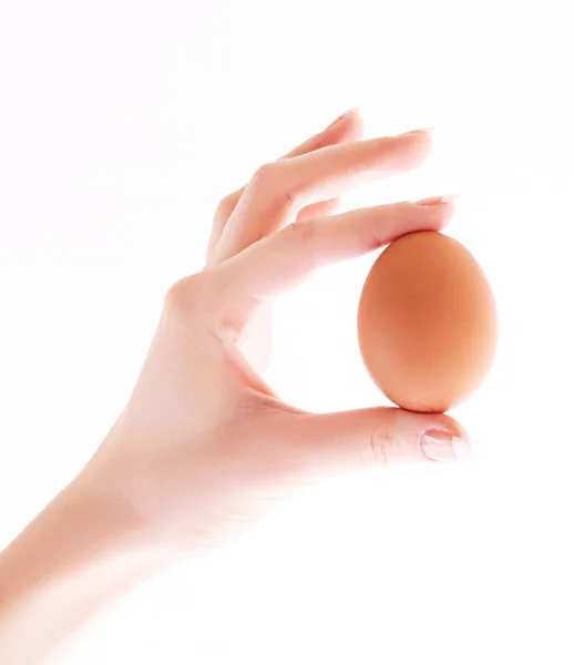 Egg in hand isolated on white — Stock Photo, Image