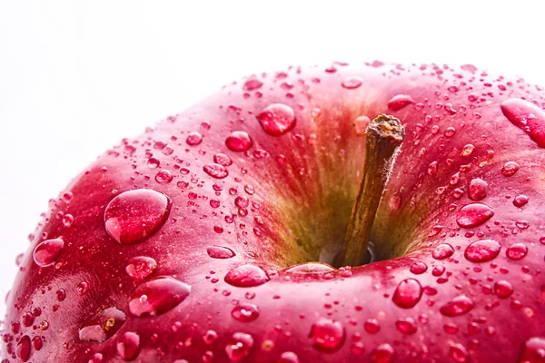 Stock image Red apple closeup with waterdrops isolated on white