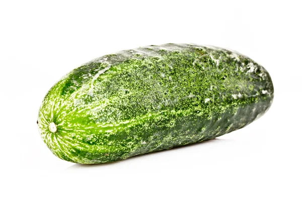 Cucumber isolated on white — Stock Photo, Image