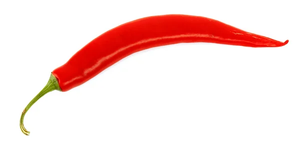 Paprika isolerad på vit — Stockfoto