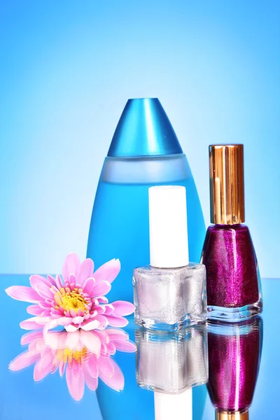 Růžový čerstvé aster, parfémy a lak na modrém pozadí — Stock fotografie