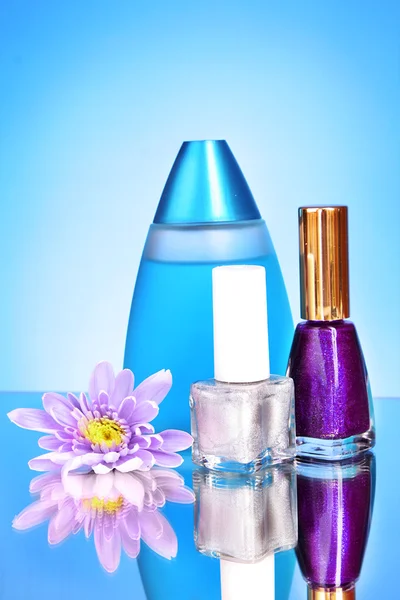 Różowy aster świeże, perfumy i lakier na niebieskim tle — Zdjęcie stockowe