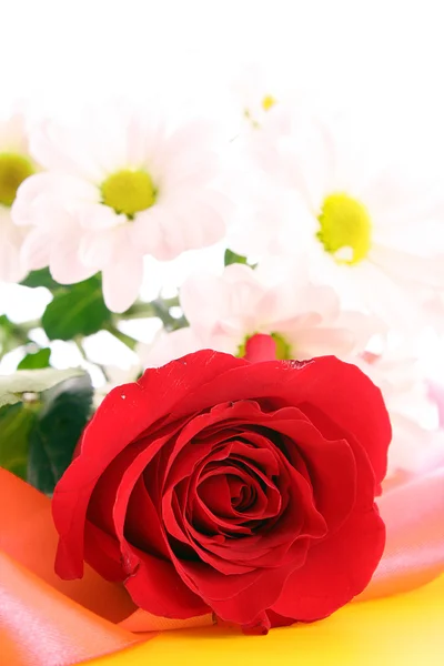 Rose on orange background — Stock Photo, Image