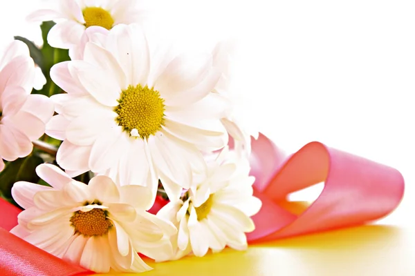 Białe kwiaty i czerwonym paskiem — Zdjęcie stockowe