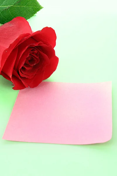 Записка с розой на зеленом фоне — стоковое фото
