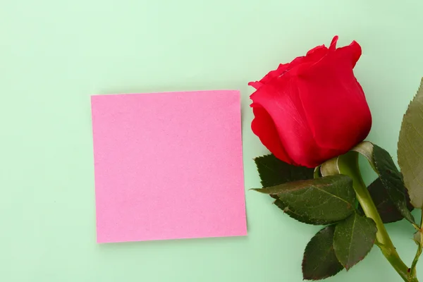 Note with rose on green background — Stock Photo, Image
