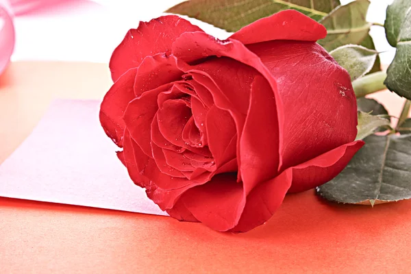 Σημειώστε με τριαντάφυλλο σε πορτοκαλί φόντο — Φωτογραφία Αρχείου